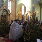 Божественная литургия в день обретения мощей преподобного Серафима, Саровского чудотворца